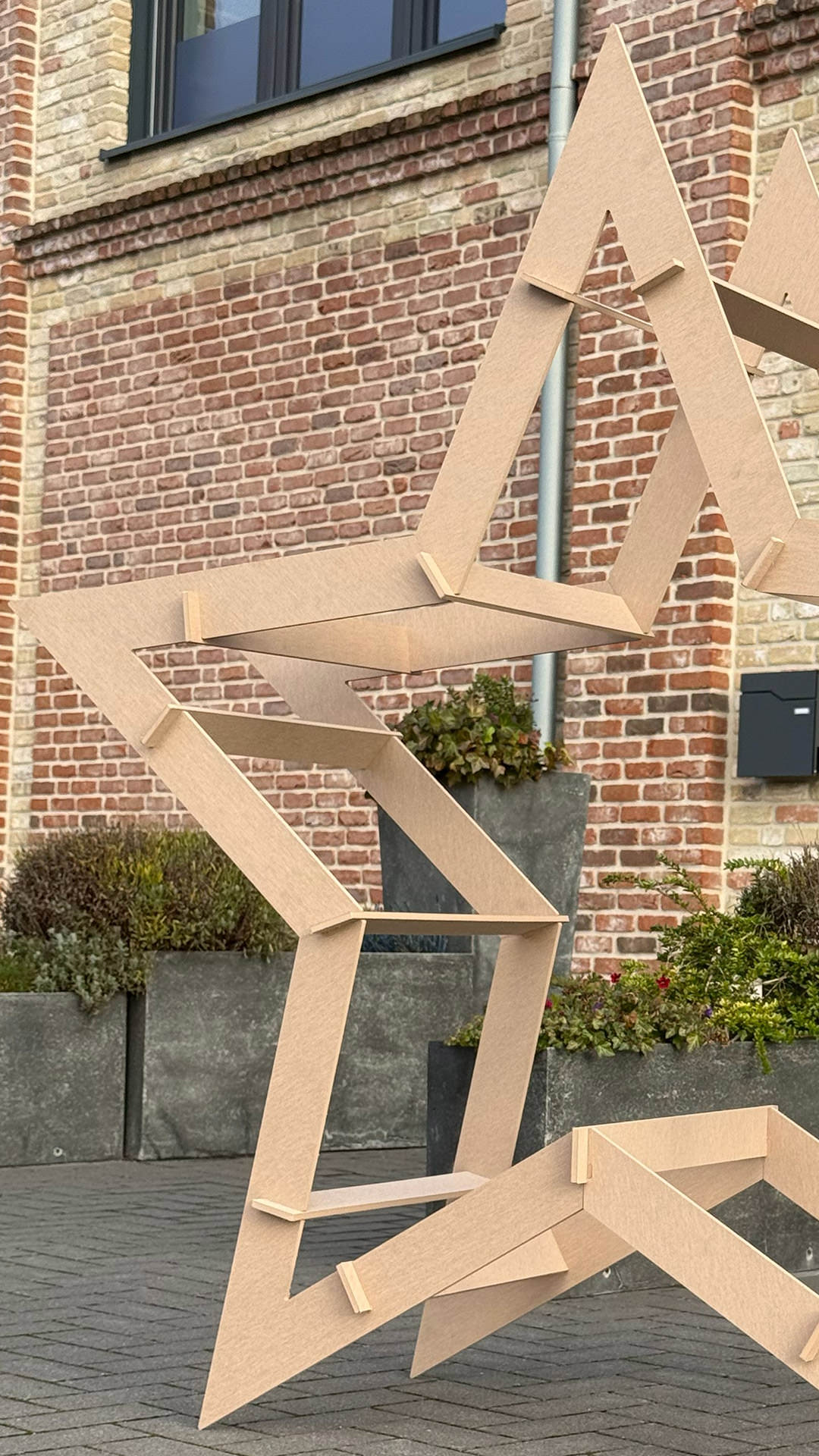 REXOdesign® XXL DIY Weihnachtsstern aus REXOnuma